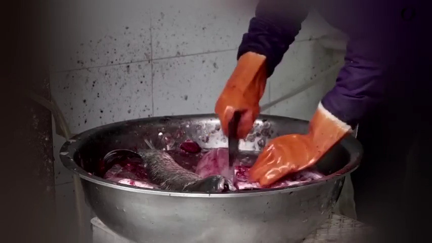 Klicke auf die Grafik für eine vergrößerte Ansicht

Name: grafik.png
Ansichten: 21
Größe: 326,5 KB
ID: 628