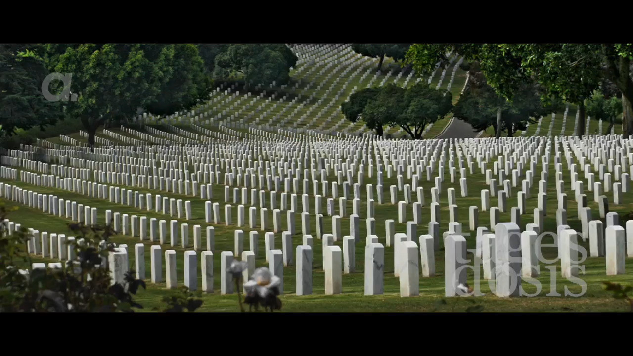 Klicke auf die Grafik für eine vergrößerte Ansicht

Name: 1.jpg
Ansichten: 30
Größe: 248,0 KB
ID: 865